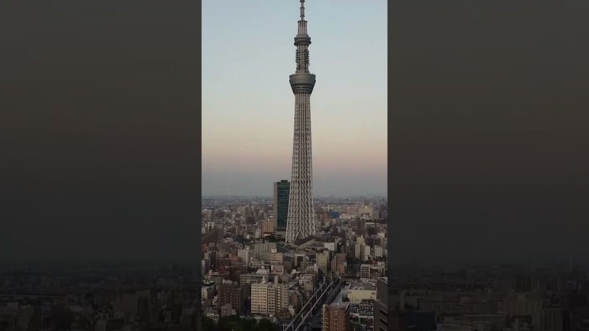 A Day in Tokyo, Japan A Day in Tokyo, Japan