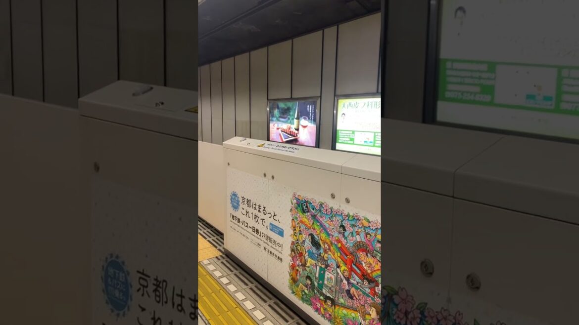 #japan #kyoto #visitjapan #japanese #japaneseculture #japaneselesson #lifeinjapan #japanvlog #vlog