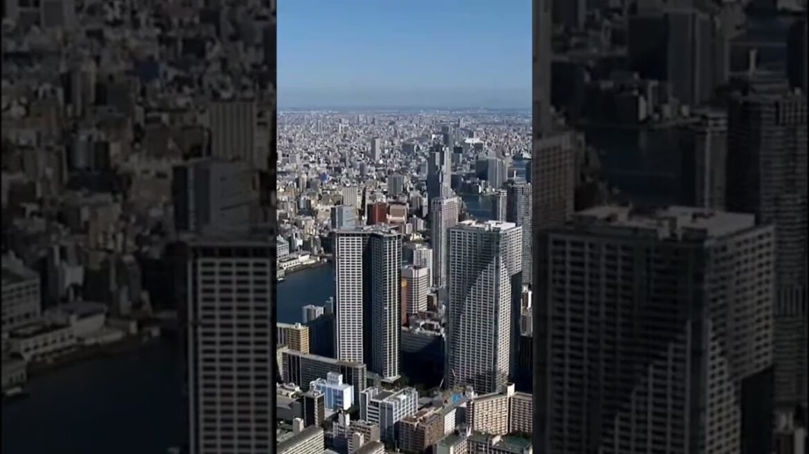 Japan | Tokyo Japan Tour | Japan Travel  #TrendingVlog #JapanTravelTour Japan | Tokyo Japan Tour | Japan Travel  #TrendingVlog #JapanTravelTour