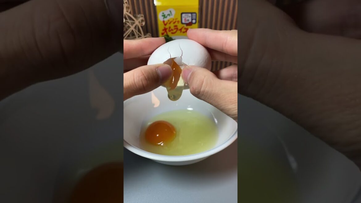 Amazing Omelette with Rice Making Kit Amazing Omelette with Rice Making Kit