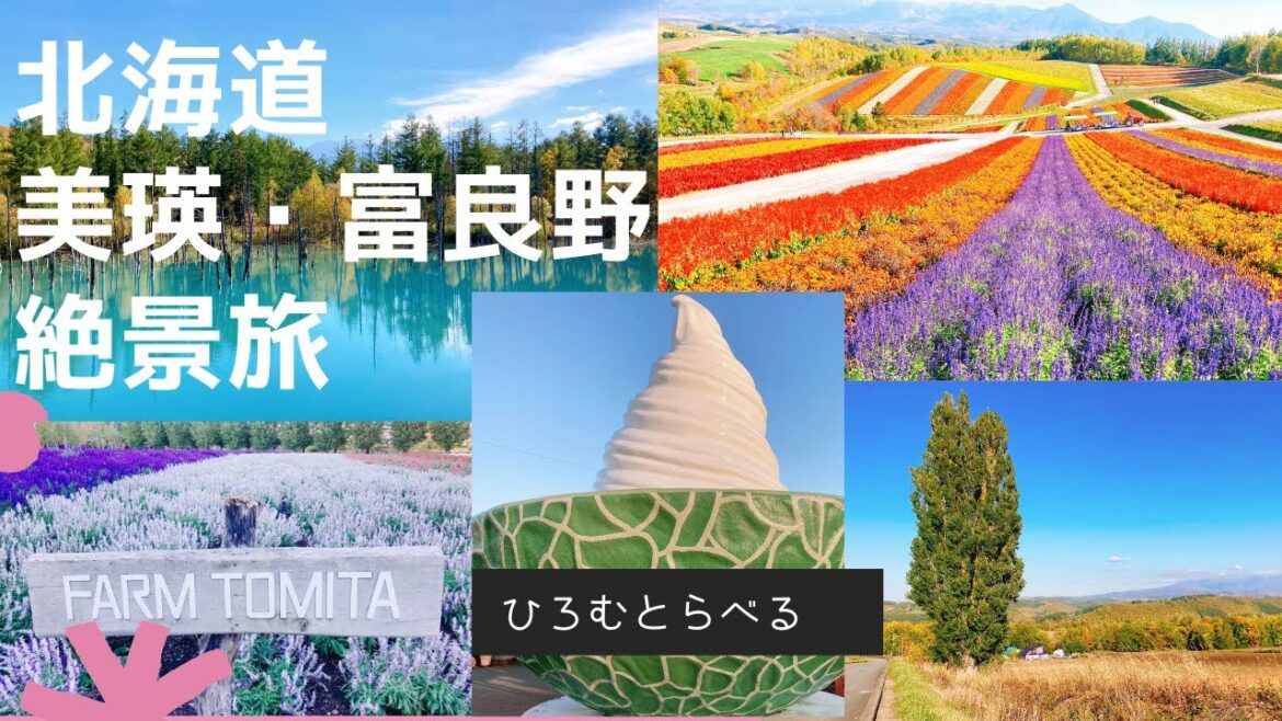 【北海道】美瑛・富良野・絶景旅