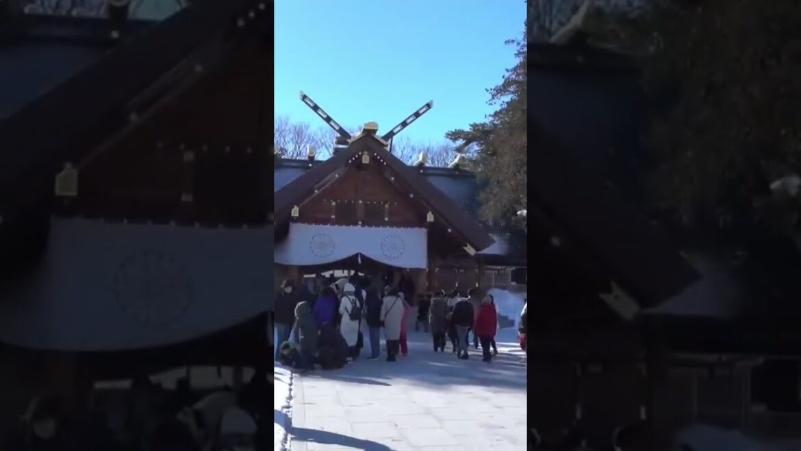 日本北海道之旅 #shorts