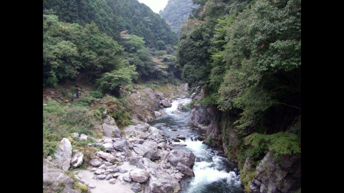 多摩川（河口から奥多摩までの風景）