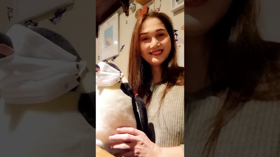 PENGUIN CAFE NAGOYA OSU JAPAN PENGUIN BAR