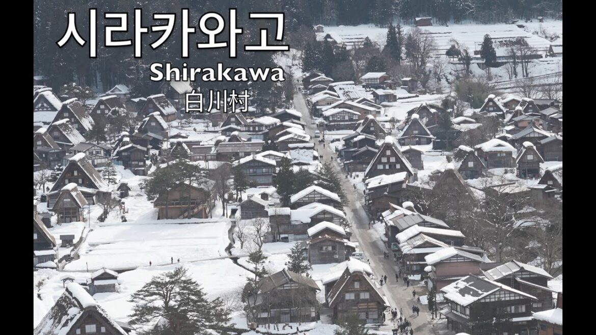 Best Day Trip in Takayama to Sirakawago JAPAN 2023 타카야마 시라카와고 여행기 高山市 城山天守閣 展望台
