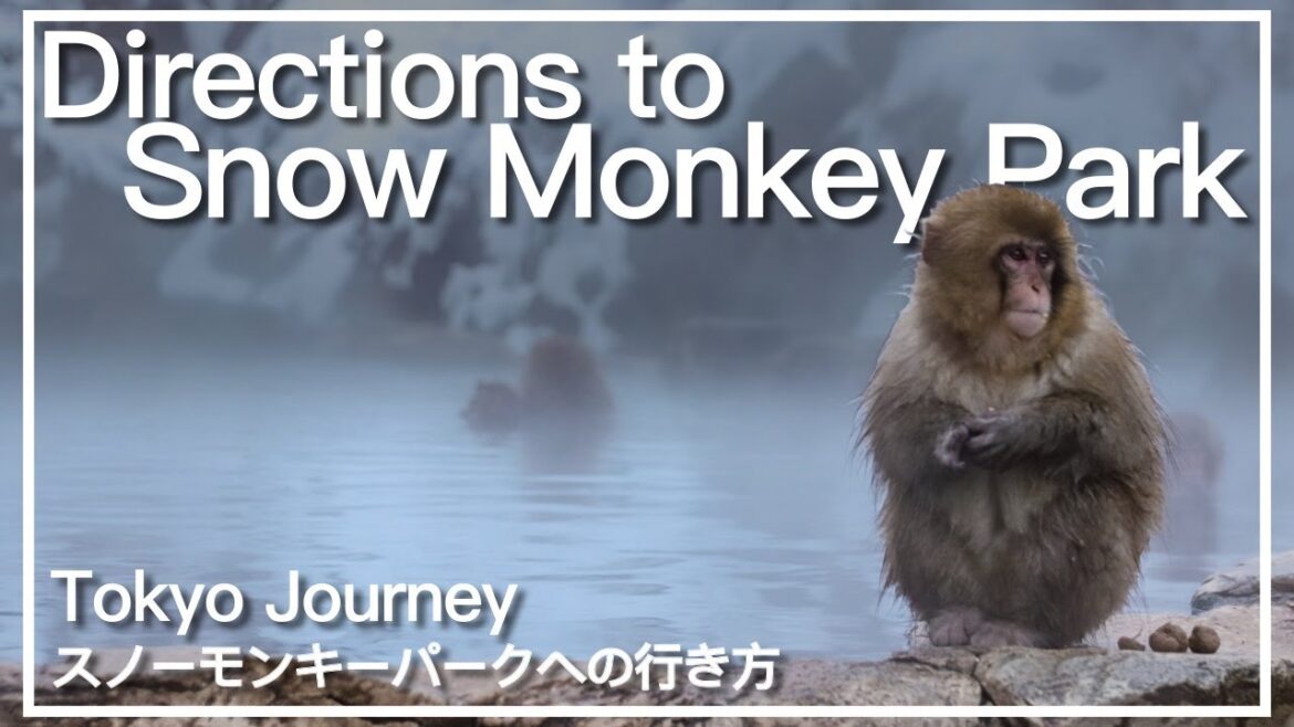 How to get to Snow Monkey Park – from Nagano Station to Snow Monkey Park How to get to Snow Monkey Park - from Nagano Station to Snow Monkey Park