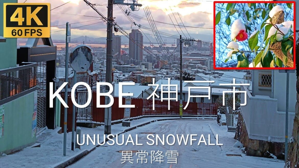 4K·60p | 2023年1月25日 神戸市内で大雪 / Heavy Snow in Kobe Japan (January 25 2023)