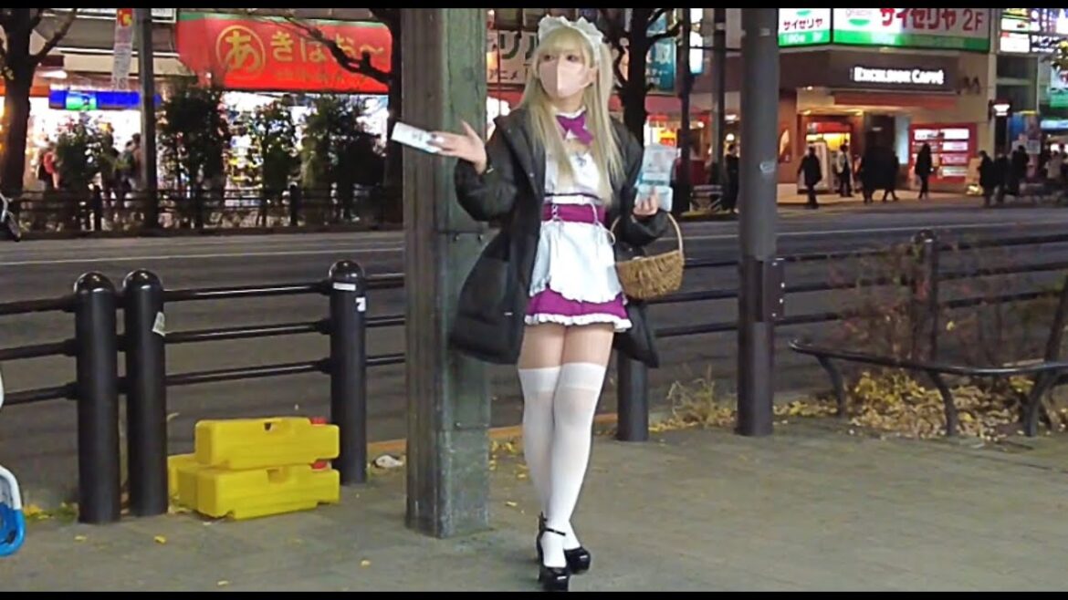 Tokyo Akihabara tour. Tokyo Akihabara tour.