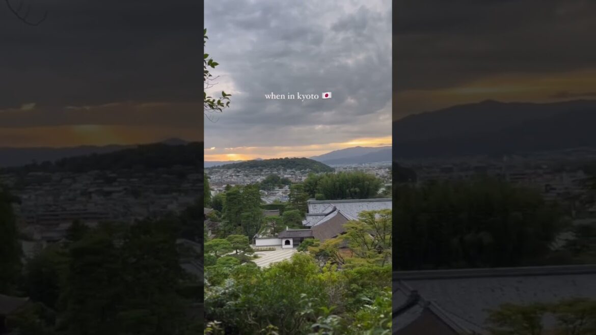 some of my favorite views from kyoto #shorts #japan #traveling