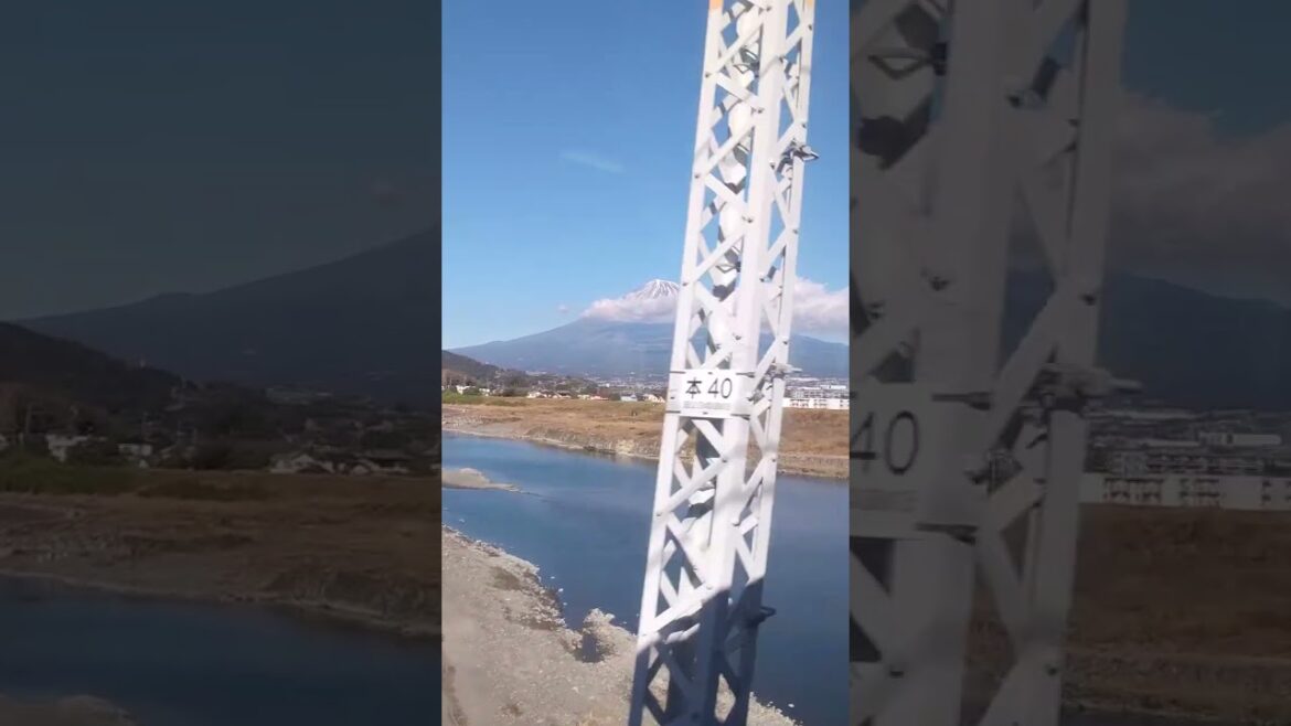 #shorts 東海道線の車窓