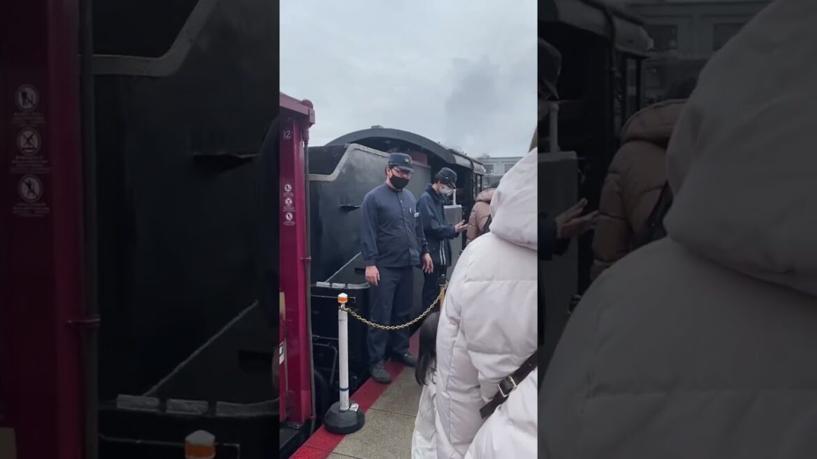 Riding a steam train in Kyoto Japan! 🇯🇵🚂 #travel #hiking #japan