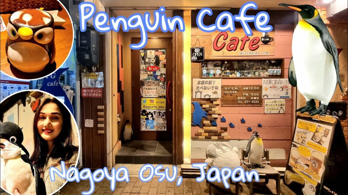 PENGUIN CAFE NAGOYA UNIQUE CAFE AND BAR IN JAPAN