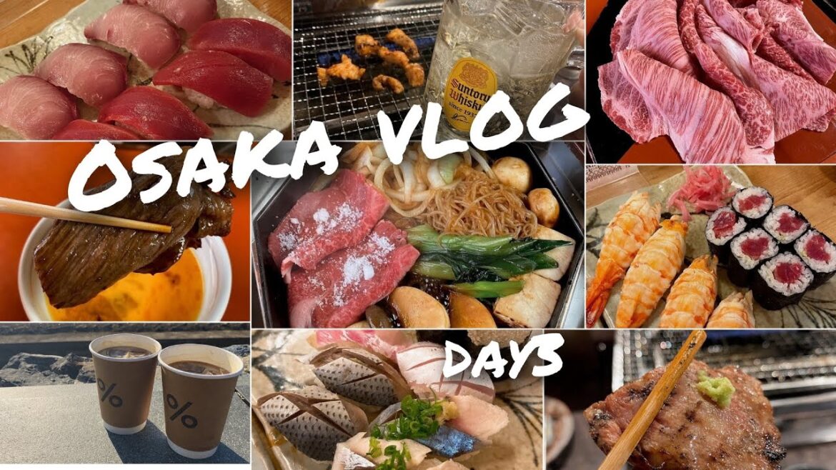 오사카브이로그/교토⛩️/이라시야마/응커피☕️/미시마테이🥩/야끼니꾸타카라/미즈카케차야🍶/카메스시🍣/ep.03