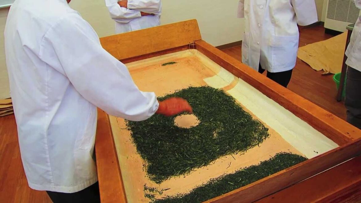 WWOOF Japan - VLOG 13 Temomi-cha, Handmade Sencha Green Tea Making!