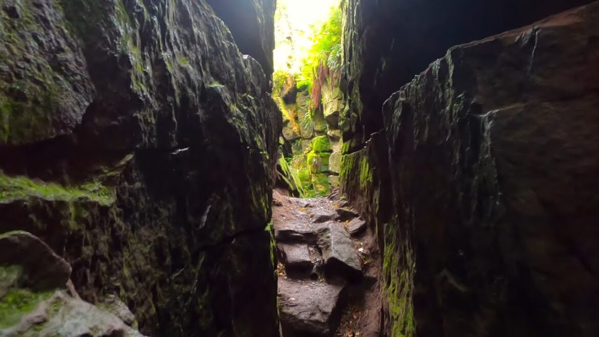 Lud's Church Walk, The Peak District, English Countryside 4K