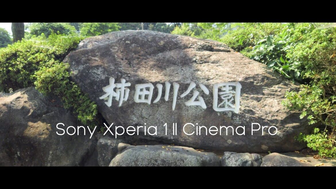 【Cinematic Traveller 4K】Sony Xperia 1 II Cinema Pro | Numazu, Kakitagawa Park, Genbe River, Mishima