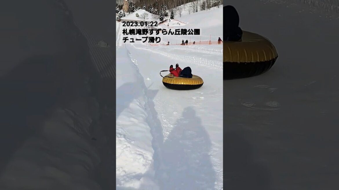 札幌滝野すずらん丘陵公園2023.01.22 #北海道 #北海道旅行 #札幌 #観光 #天気 #ライブカメラ #札幌旅行 #旅行 #shorts #雪道 #hokkaido