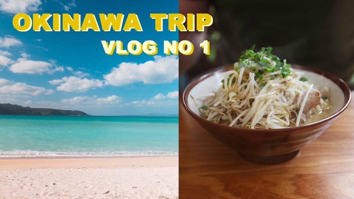 Okinawa Trip Vlog 1: Family Trip to Okuma