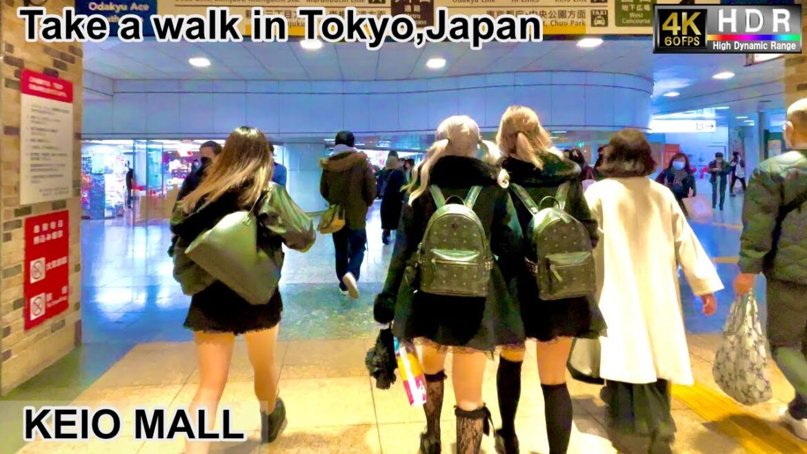 4K 60fps HDR// Take a walk in Tokyo, Japan, KEIO MALL→LUMINE EST→Shinjuku Underpass