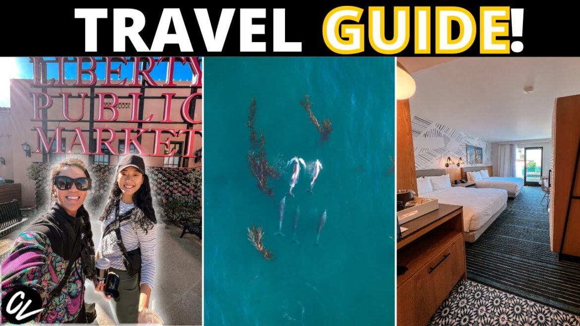 15 THINGS TO DO IN POINT LOMA! 15 THINGS TO DO IN POINT LOMA!