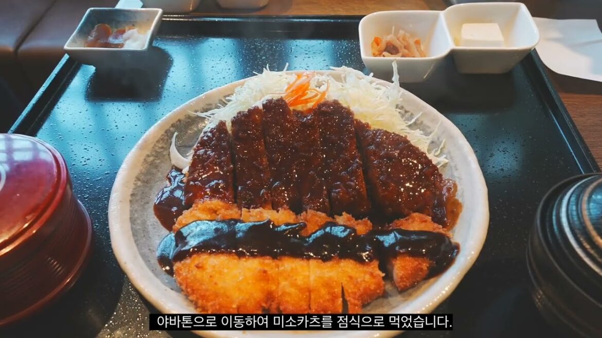 Best Day Trip in Nagoya to Takayama JAPAN 2023 나고야에서 다카야마까지