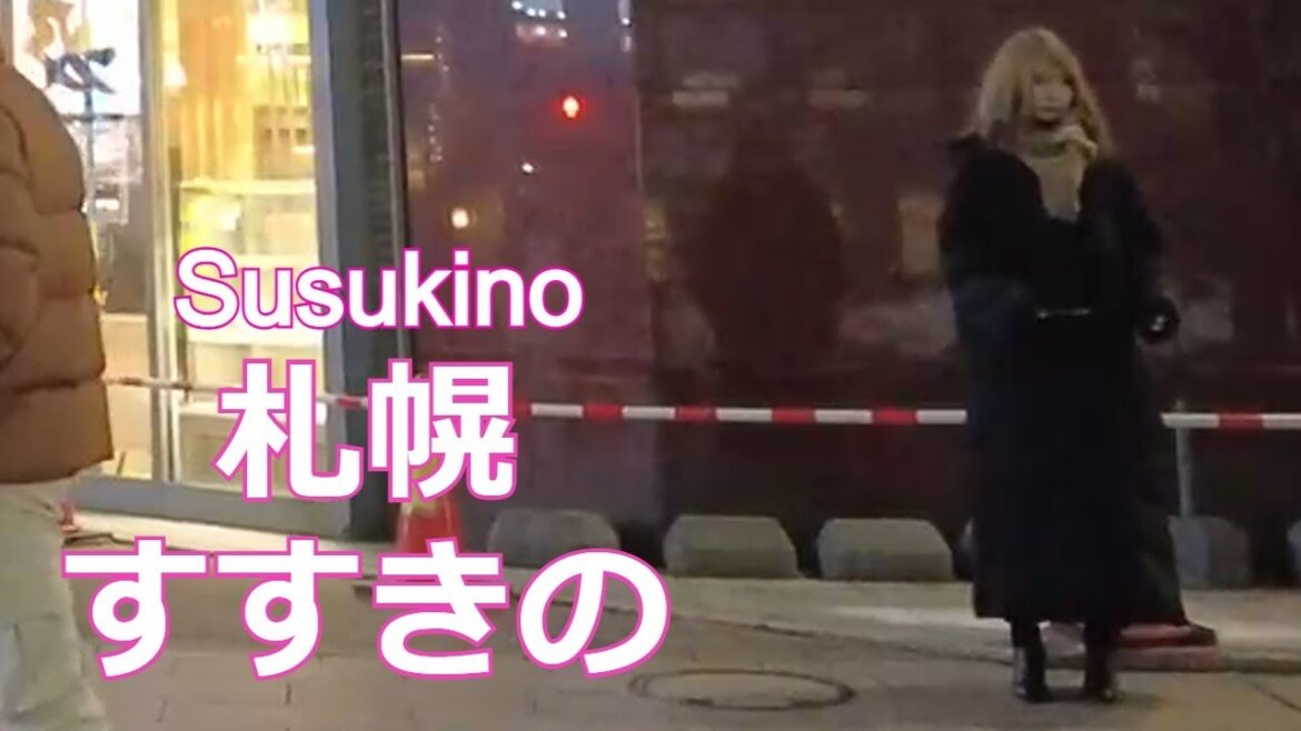【おすすめ】札幌「すすきの」を散歩…nightwalk in Susukino