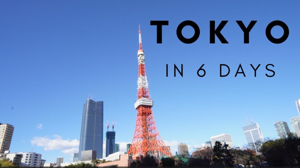6 DAYS IN TOKYO - WHAT TO DO | JAPAN TRAVEL ITINERARY