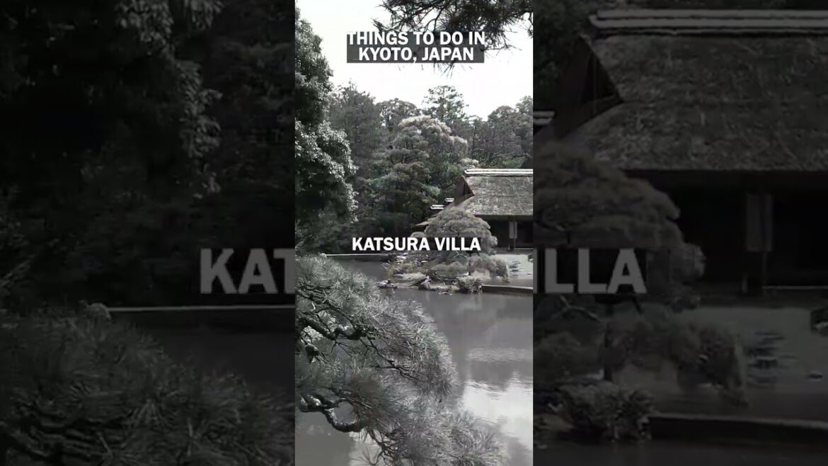 Things to Do in Kyoto Japan!  🇯🇵  #shorts