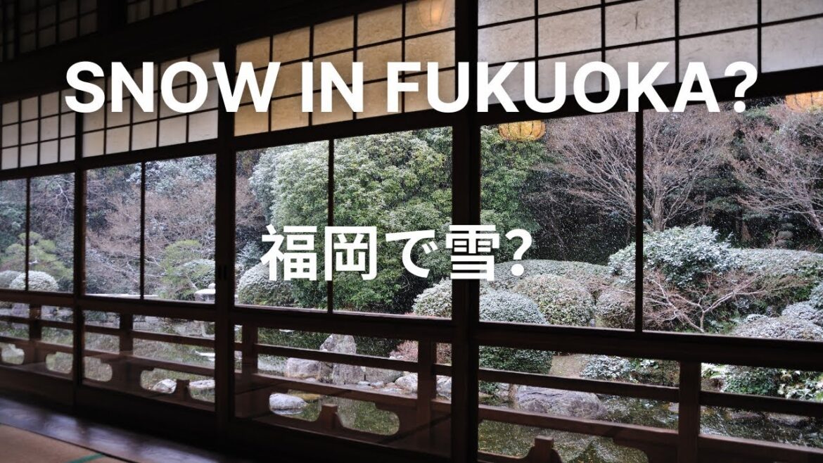 Snow in Fukuoka – Winter 2023 – 福岡で雪? – Kyushu, Japan Snow in Fukuoka - Winter 2023 - 福岡で雪? - Kyushu, Japan