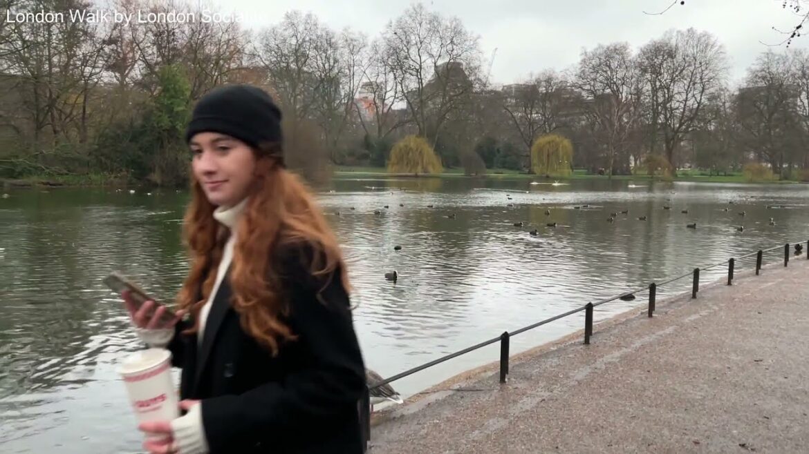 London Rain walk, Parliament Square to Leicester Square via Buckingham Palace, Piccadilly, Chinatown London Rain walk, Parliament Square to Leicester Square via Buckingham Palace, Piccadilly, Chinatown