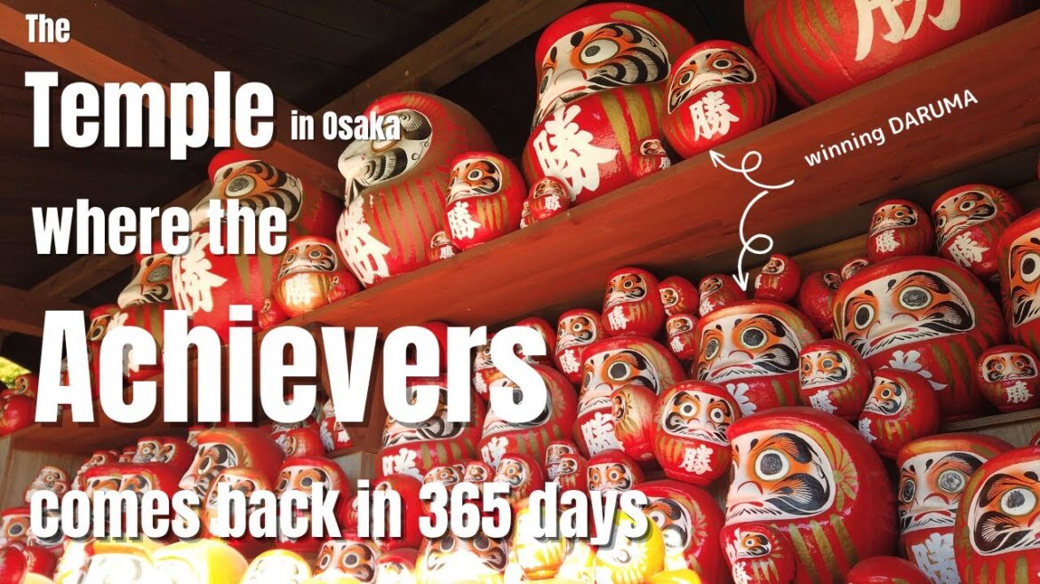 Temple full of winners?! Walk Tour in Katsuo-ji Temple, Osaka | Winning DARUMA | 勝ちだるま 勝尾寺 大阪