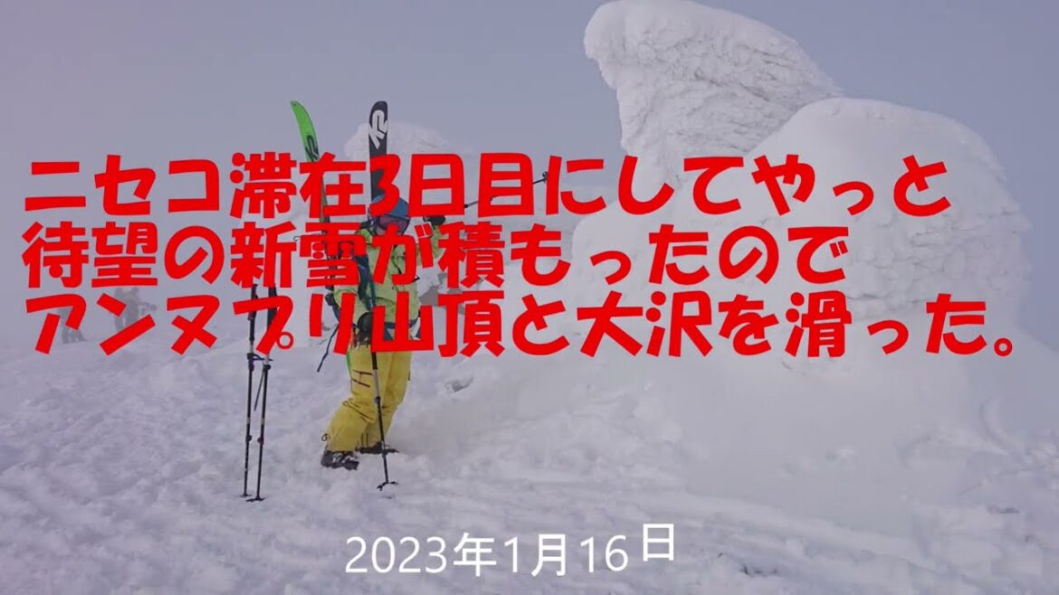 ニセコ滞在3日目にしてやっとパウダーにありつけた。アンヌプリ山頂から東斜面～藤原の沢滑って　さらに大沢も滑って今回の旅のミッションコンプリート！