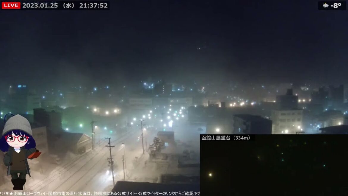 北海道 函館 暴風に舞う粉雪（夜）2023/01/25