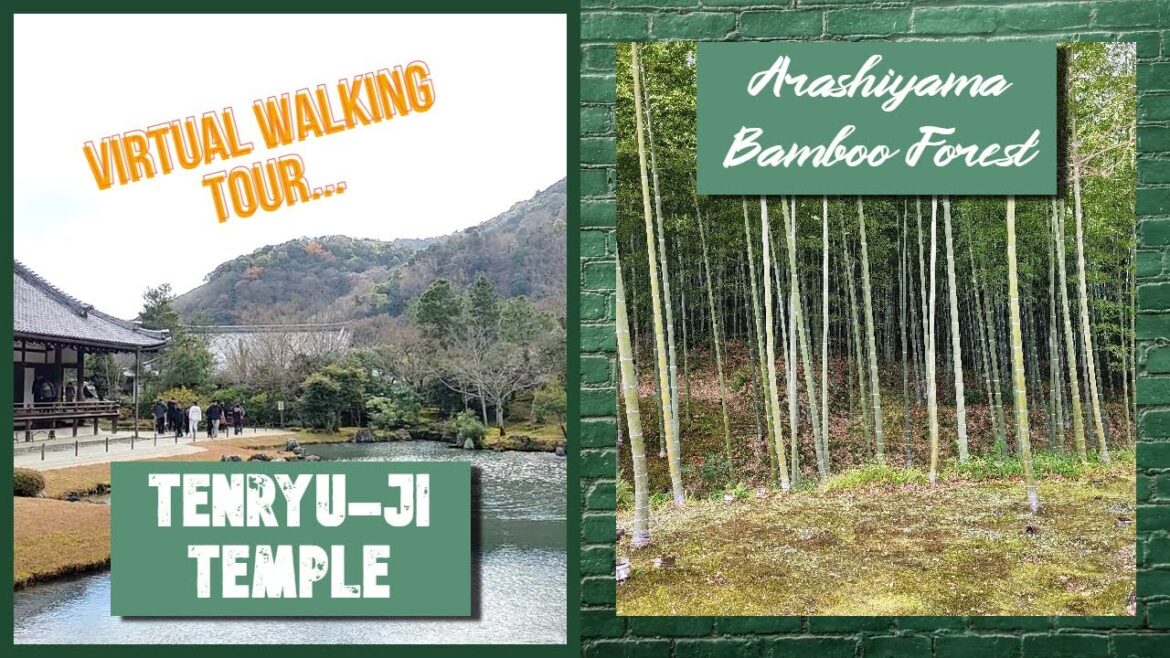 Arashiyama Bamboo Forest & Tenryu-Ji Temple, Kyoto - Japan | Virtual Walking Tour | Travel