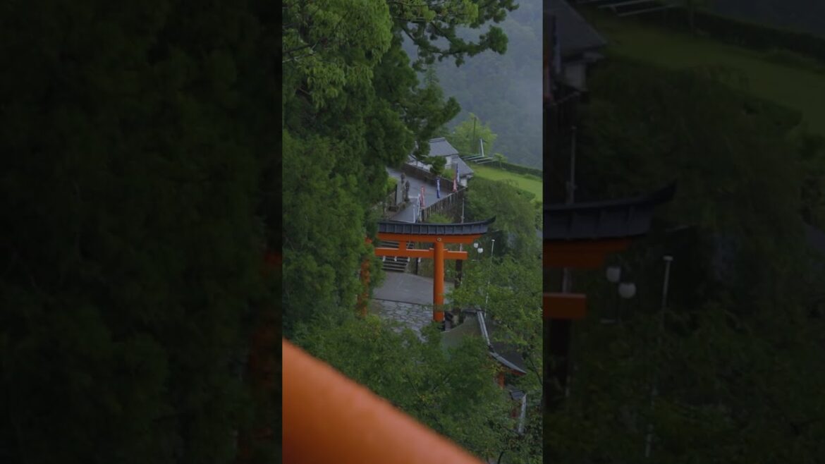 Experiencing the Wonder of Kumano Nachi Taisha in Japan!