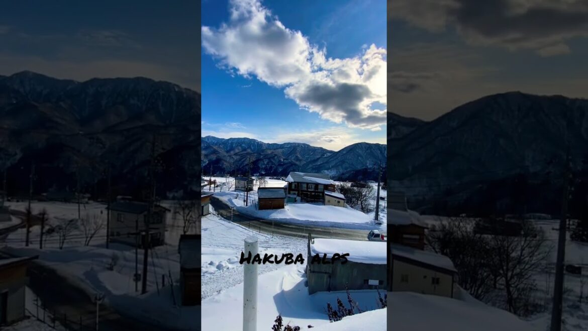 Skiing in Japan! #shorts #skiing #ski #wintertravel #trysomethingnew