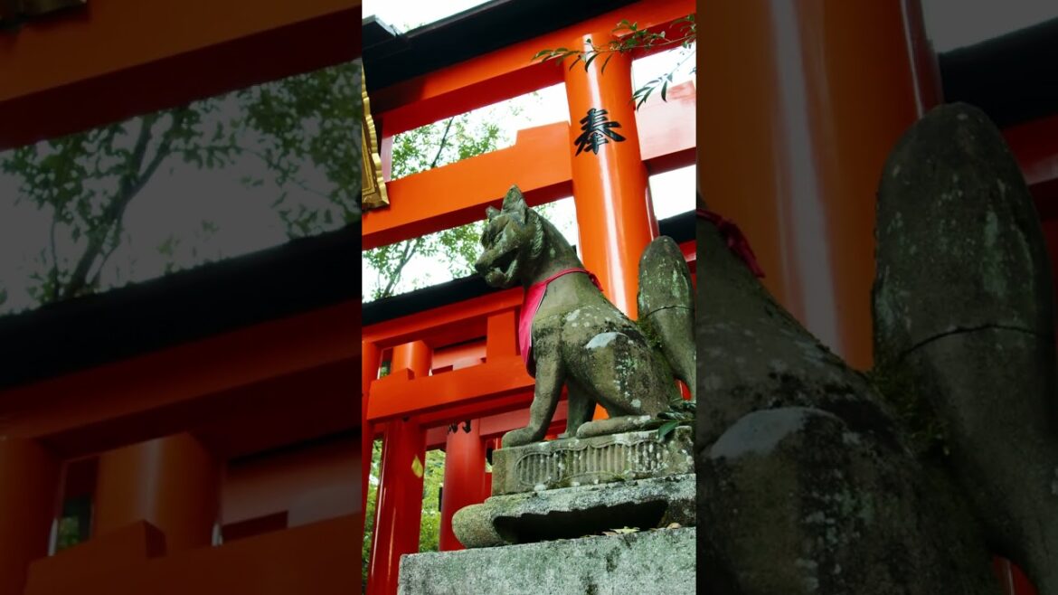 Capturing Japan's ANCIENT Capital in 2023 part2 ⛩️#shorts Capturing Japan's ANCIENT Capital in 2023 part2 ⛩️#shorts