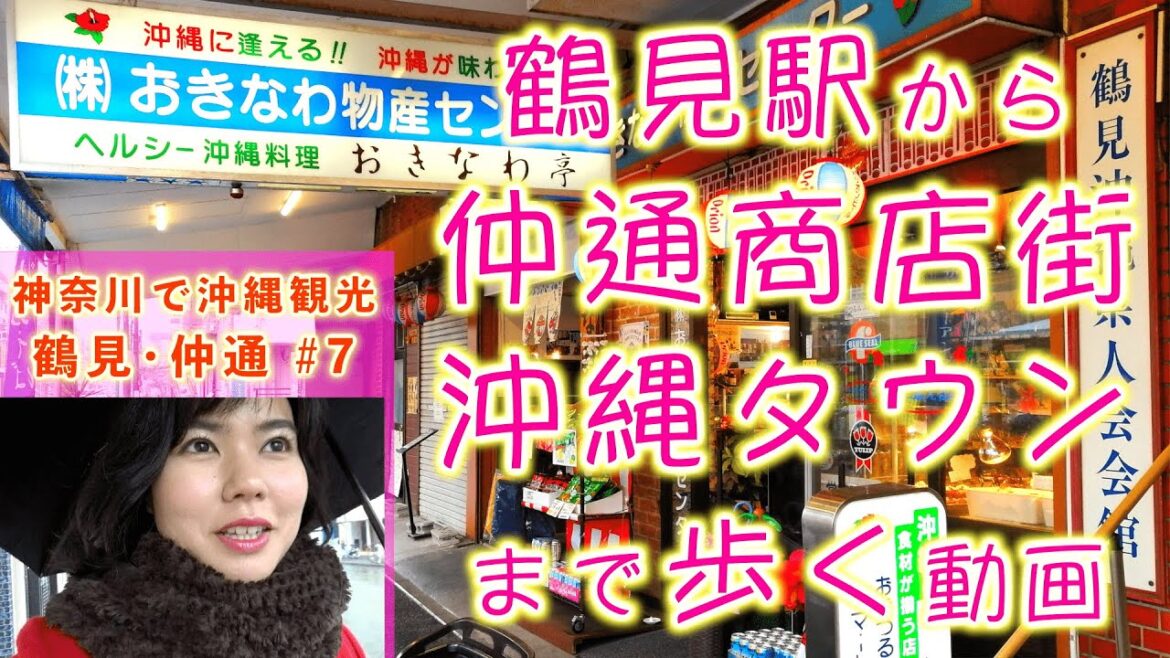 【東京･神奈川で沖縄観光⑦】京浜東北･鶴見駅から仲通商店街「沖縄タウン（リトル沖縄）」まで、歴史を語りながらひたすら歩いて向かう動画！【沖縄観光/神奈川･横浜】