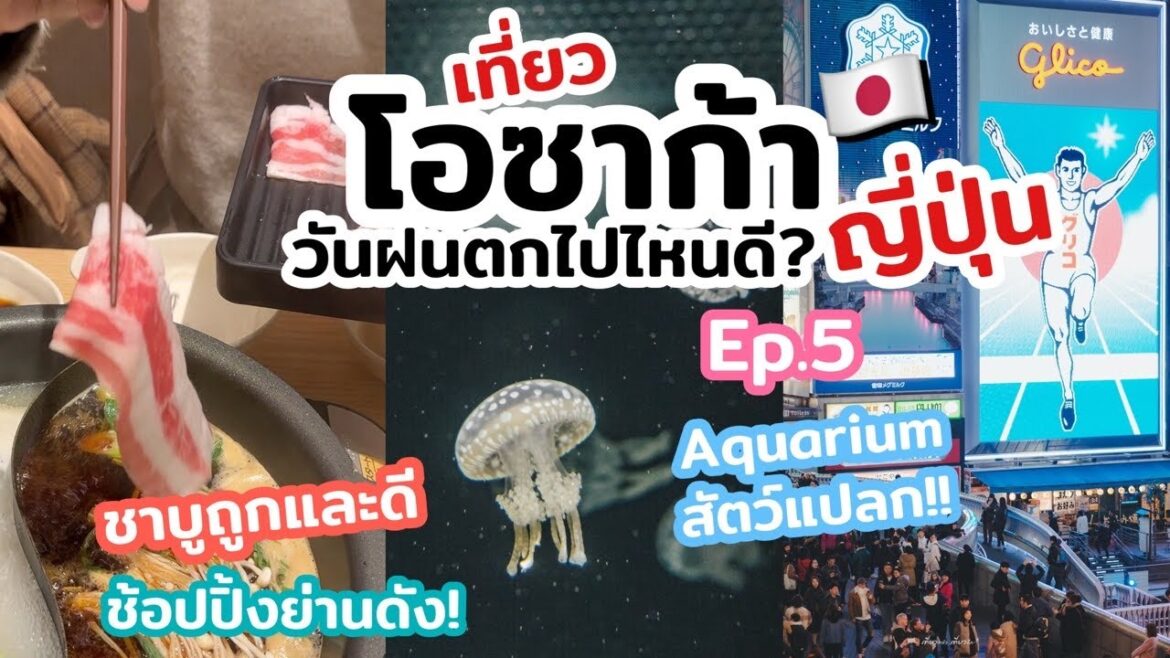 เที่ยวญี่ปุ่น โอซาก้า เที่ยว aquarium ดูสัตว์แปลก ช้อปปิ้งย่านดัง   | เที่ยวแล้วเที่ยวอีก