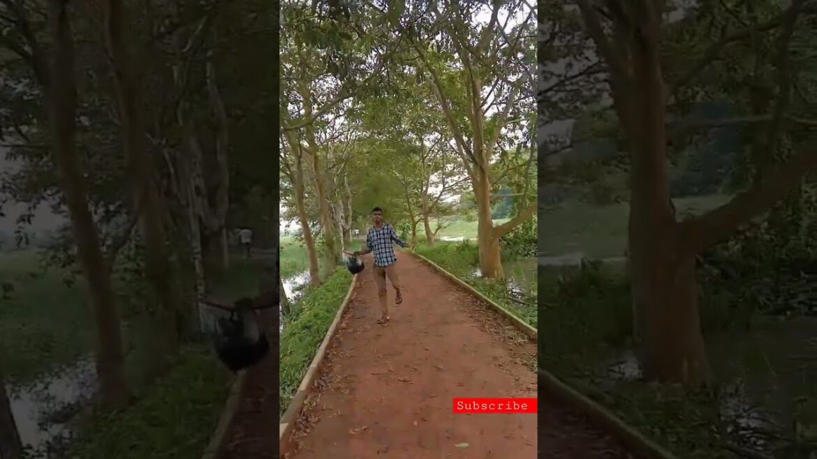 #shorts The Best ๐๐ค๐๐ Sri Lanka's beautiful landscape #youtubeshorts ๐๐ค #vairal ๐Travel world #shorts The Best ๐๐ค๐๐ Sri Lanka's beautiful landscape #youtubeshorts ๐๐ค #vairal ๐Travel world