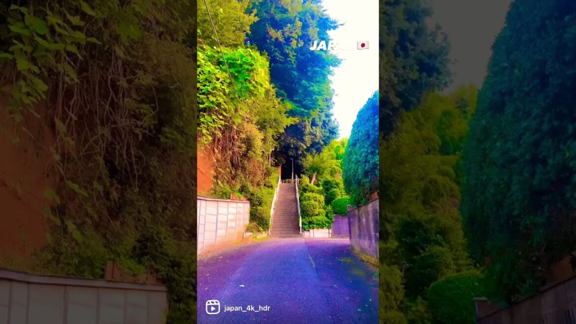 📍Tokyo , Japan 🇯🇵 #shorts #japan #tokyo 📍Tokyo , Japan 🇯🇵 #shorts #japan #tokyo