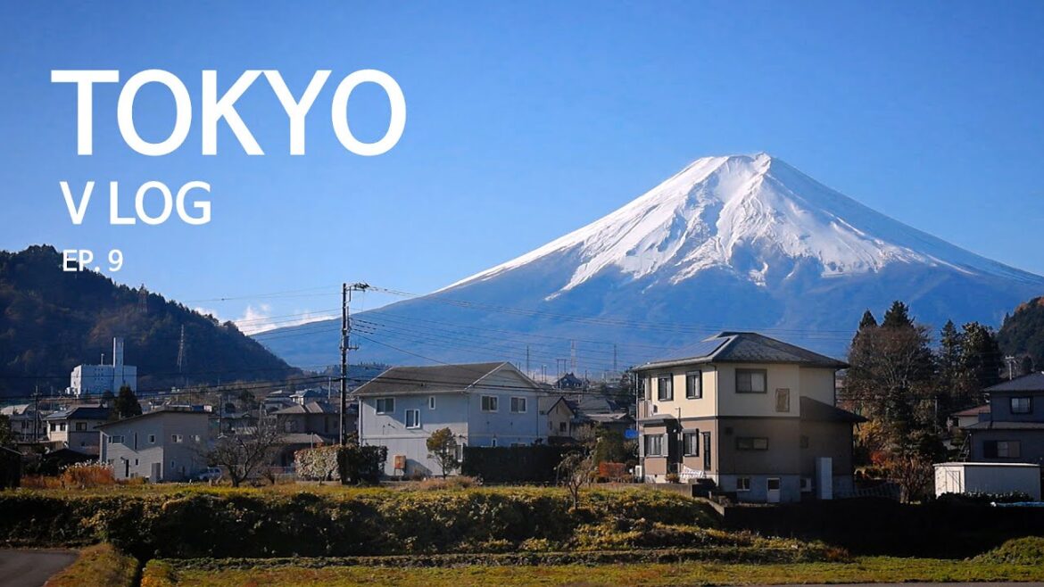 도쿄&근교 9일 | Ep9 철도여행 | 후지산 | 단풍 | 아라쿠라야마 센겐공원 | 신주쿠 | 카와구치코 | 에키벤 | 후지카이유 | 야마나시 | 기차여행 | 타는법 | 도쿄여행