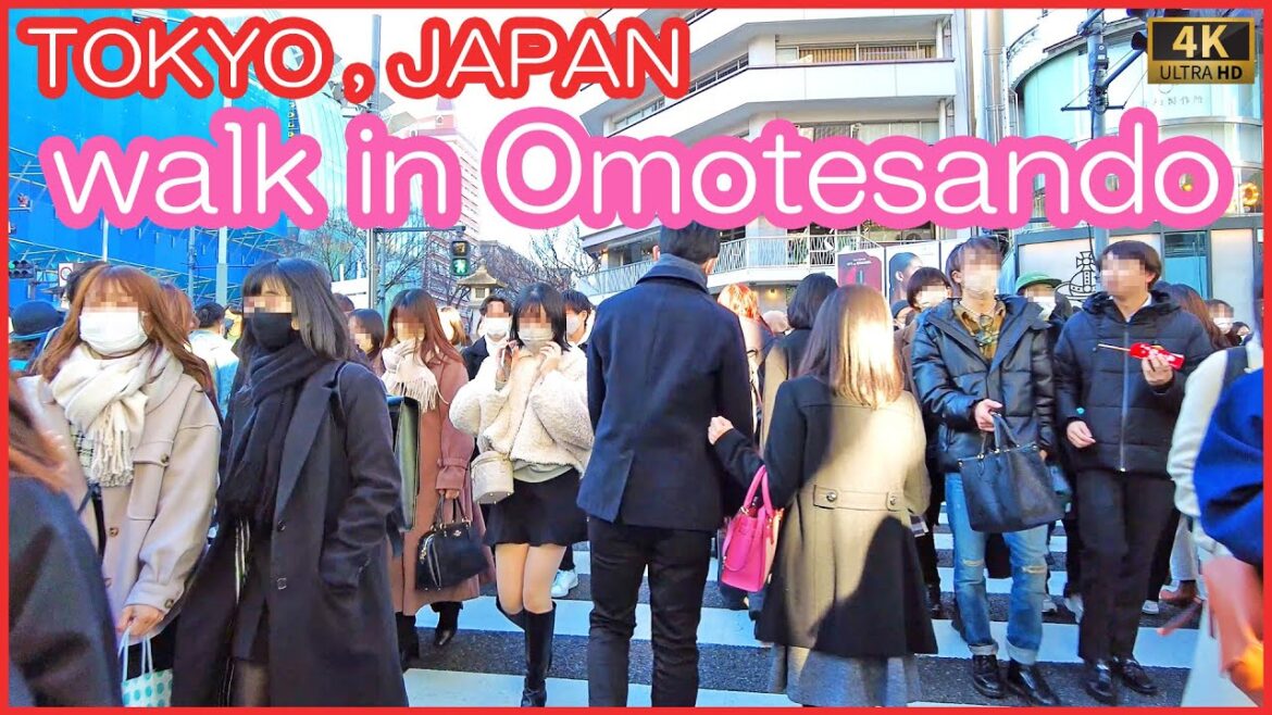 walk in Omotesando 4K , Jan.2023