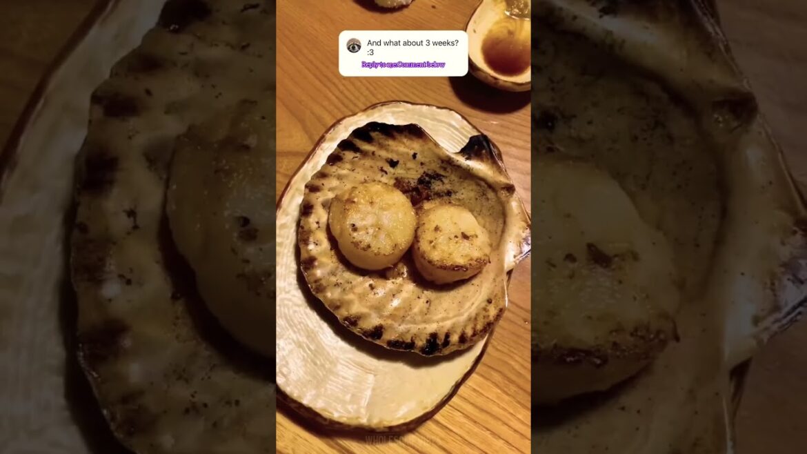 Perfect 3 weeks tour in Japan 🎑🇯🇵#shorts#viral Perfect 3 weeks tour in Japan 🎑🇯🇵#shorts#viral