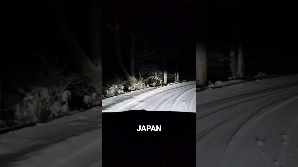 Nagano, snowy landscape, driving on snow-covered roads.長野県 雪景色 雪道走行