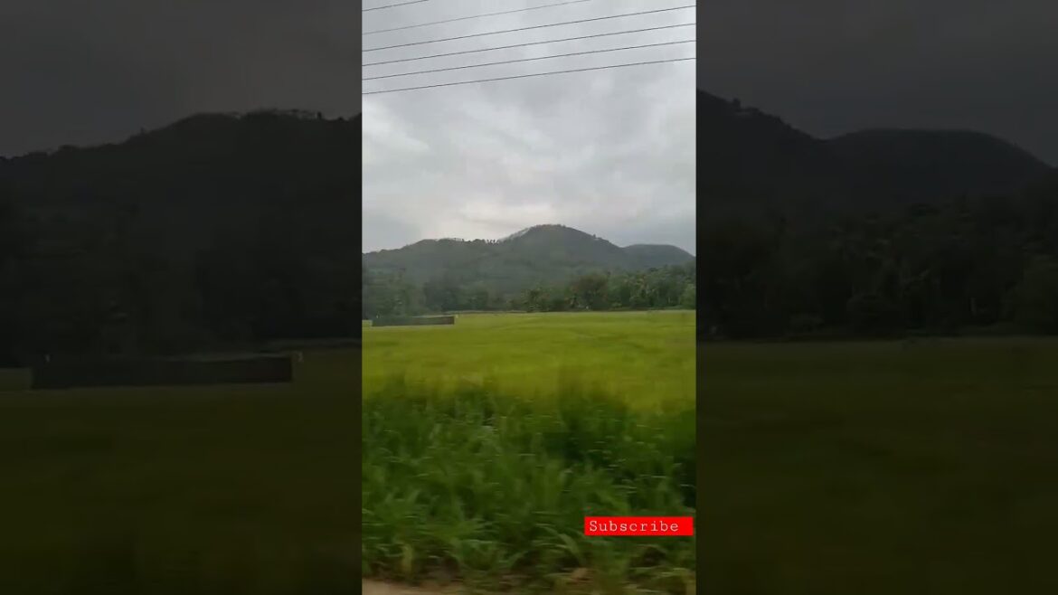 #shorts The Best 💕🤟💕💚 Sri Lanka's beautiful landscape #youtubeshorts 💕🤟 #vairal 🌍Travel world