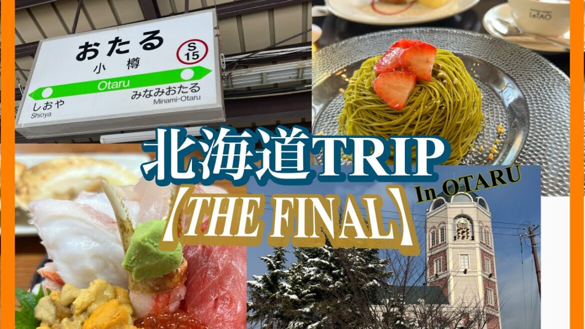 HOKKIDO TRIP 【The FINAL】#hokkaido #hokkaidotrip ＃otaru #winter #snow #travel