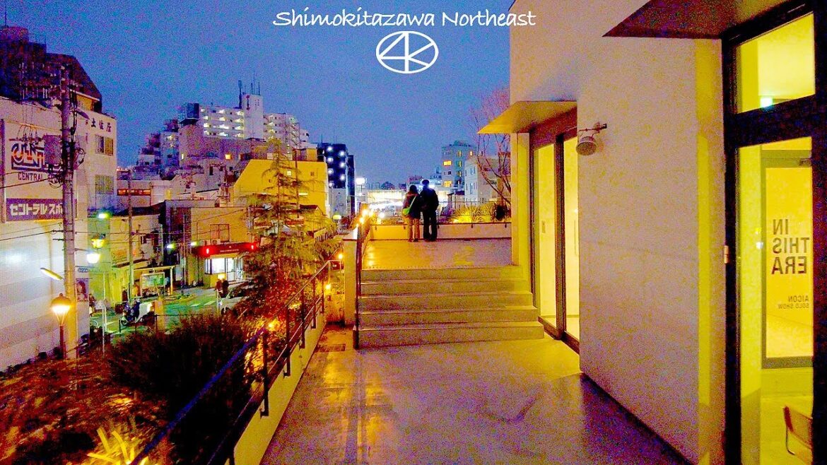 4K 下北沢北東 リロード ミカン下北 南口商店街 散歩 2023  東京 Japan