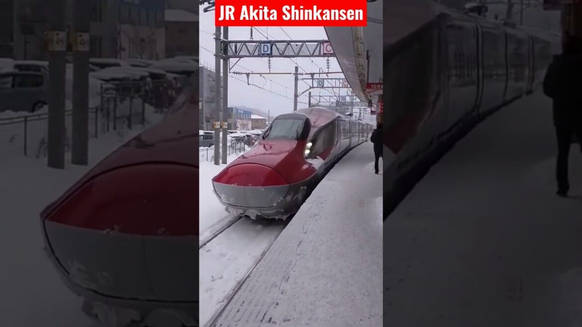 Snow Akita Shinkansen #shorts #salju