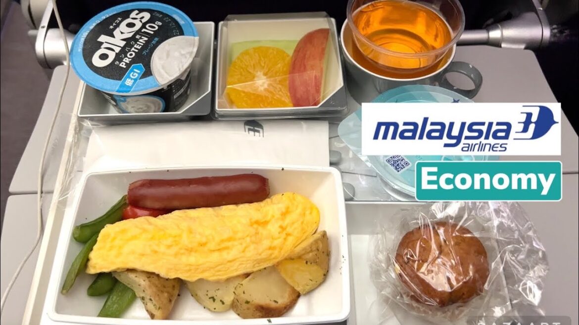 Malaysia Airlines Economy FOOD REVIEW   Flying from Tokyo to Bangkok Thiland